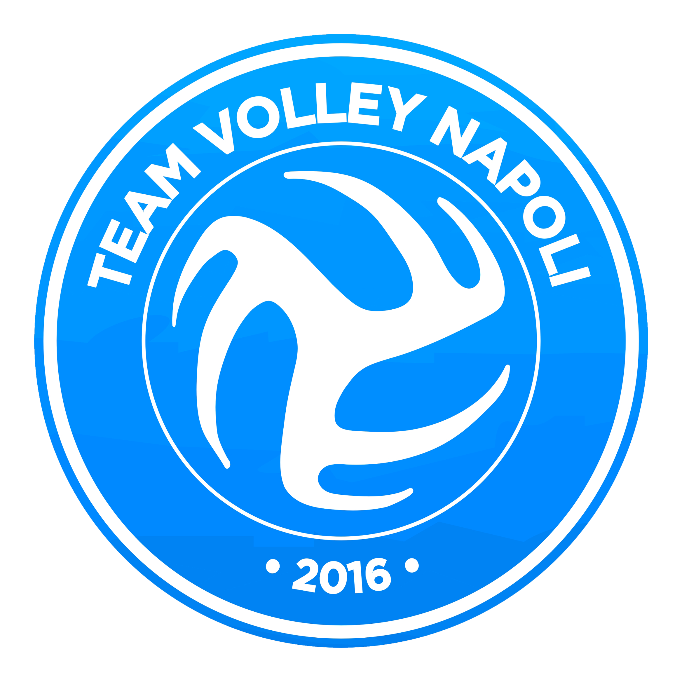 Team Volley Napoli