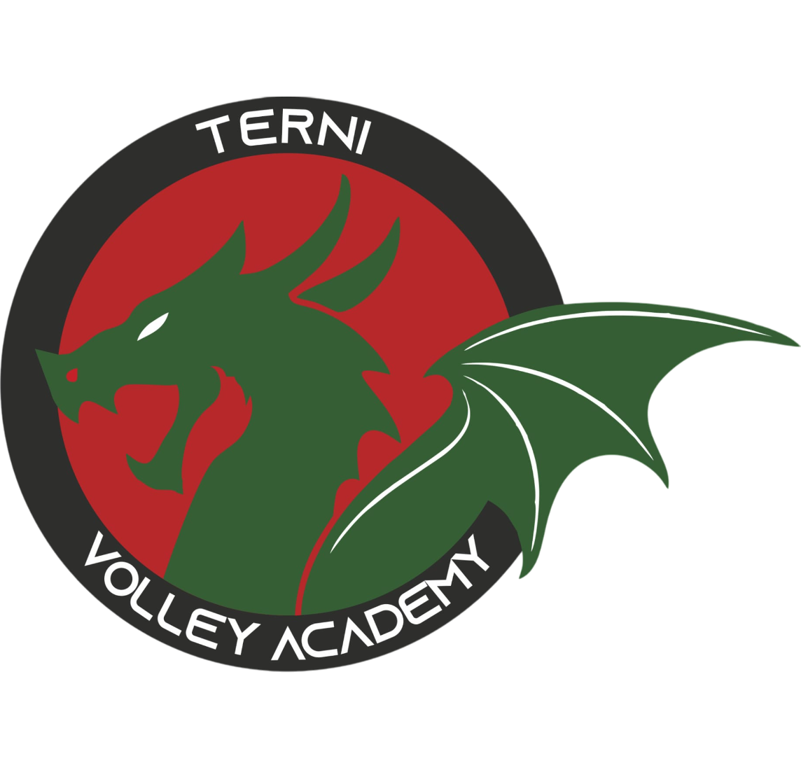 Terni Volley Academy